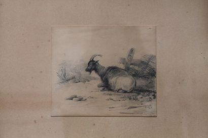 null VERBOECKHOVEN Eugène (1798/99-1881), "Chêvre", XIXe, crayon sur papier, monogrammé...