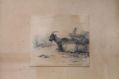 VERBOECKHOVEN Eugène (1798/99-1881) "Chêvre", XIXe, crayon sur papier, monogrammé...