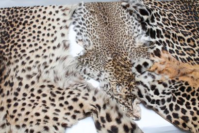 null Ensemble de quatre peaux en simili-léopard.