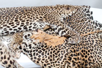null Ensemble de quatre peaux en simili-léopard.