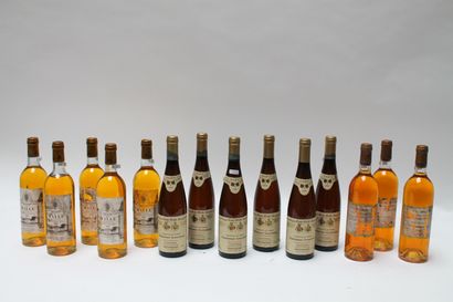 null VARIA, vin blanc, quatorze bouteilles:

- BORDEAUX (SAUTERNES), Château Clos...