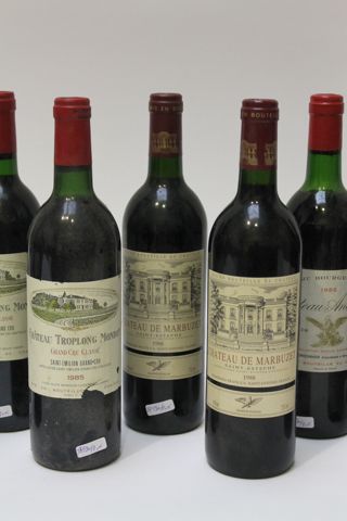 BORDEAUX Rouge, quinze bouteilles:

- BORDEAUX (MOULIS), rouge, Château Anthonic...