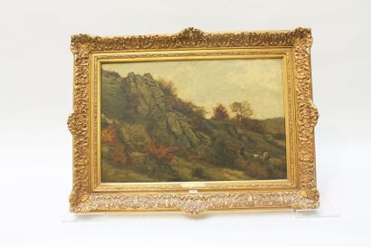 BARON Théodore (1840-1899) "Rochers en Ardennes", [18]70, huile sur panneau, signée...
