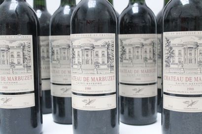 BORDEAUX (SAINT-ESTÈPHE) Rouge, Château de Marbuzet 1988, quinze bouteilles [bas-goulot,...