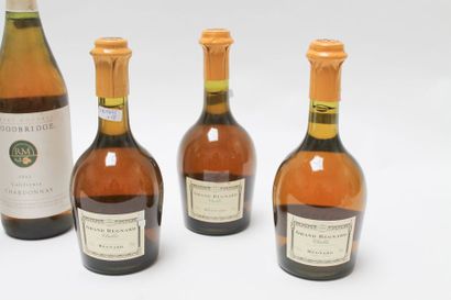 null Ensemble de dix-huit bouteilles :

- SUD-OUEST (BAS-ARMAGNAC), ambré, Château...