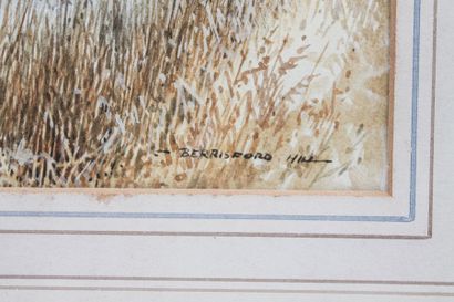 HILL Berrisford "Vol de sarcelles", XXe, aquarelle sur papier, signée en bas à droite,...