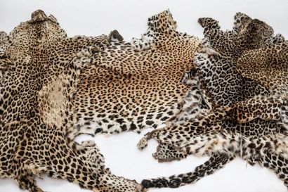 null Trois peaux en simili-léopard et diverses chutes.
