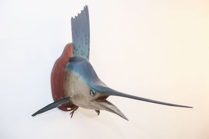 null Marlin bleu monté en trophée, l. 96 cm [altérations, accidents et manques].