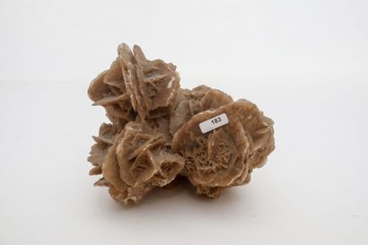 null Rose des sables (Sahara), l. 19 cm [petits chocs].