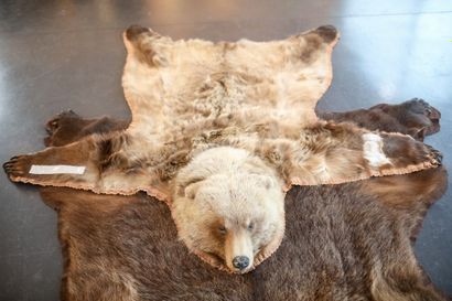 null Deux peaux d'ours, l. 200 cm env. [altérations].