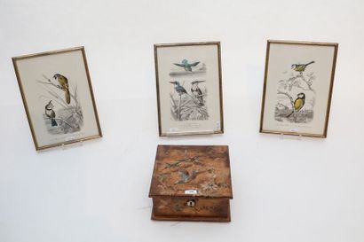 SPA Coffret à décor d'oiseaux, fin XIXe, bois, 8,5x18,5x18 cm [décor très altéré]...