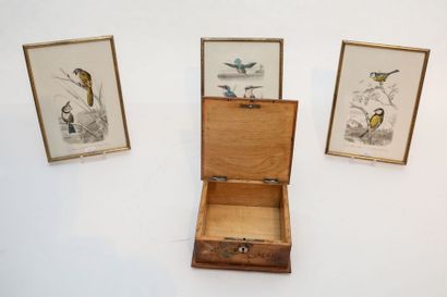 SPA Coffret à décor d'oiseaux, fin XIXe, bois, 8,5x18,5x18 cm [décor très altéré]...