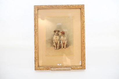 DE CONDAMY CHARLES FERNAND (c.1855-1913) "Couple de chiens", fin XIXe, aquarelle...