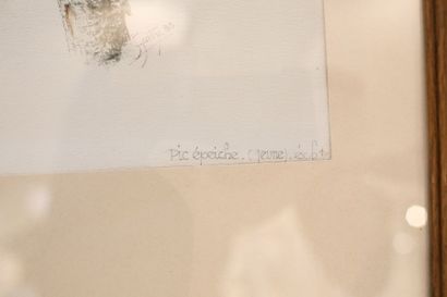 GANTY J. "Pic épeiche", [19]83, aquarelle et encre de Chine sur papier, signée, datée...