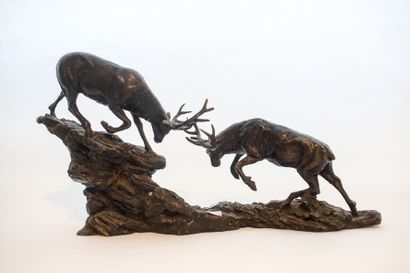 null "Combat de cerfs", XXe, groupe en bronze, 29x55x10 cm.