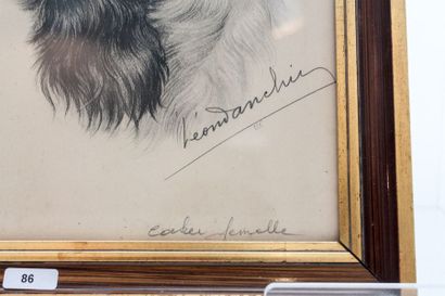 DANCHIN Léon (1887-1938) "Cocker femelle", XXe, lithographie polychrome, signée,...