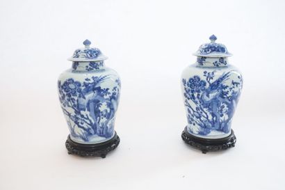 CHINE Paire de potiches à décor bleu et blanc de fleurs et d'oiseaux, dynastie Qing...