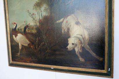 ECOLE FLAMANDE "Chien à l'affût", XVII-XVIIIe, huile sur toile rentoilée, 97x114...