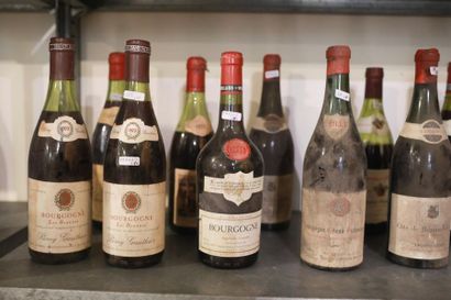 BOURGOGNE Rouge, 15 bouteilles :
- (Volnay), Grand Vin de Bourgogne, 70 cl., trois...