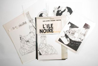 Tintin / L'île noire - Pop-Hop Ensemble de films noirs ayant servis pour la réalisation...