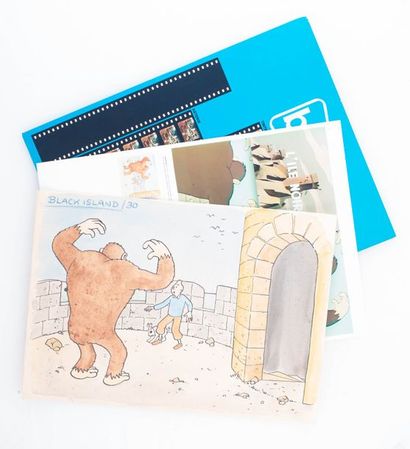 Tintin / L'île noire - Dessin original Belvision Encre de chine et aquarelle pour...
