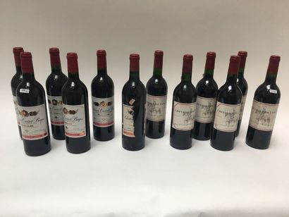 BORDEAUX (PAUILLAC) Rouge, douze bouteilles :

- Château Croizet-Bages 1985 (une)...