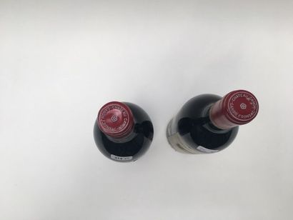 BORDEAUX (CANON-FRONSAC) Rouge, Château Canon 1982, deux bouteilles [bas-goulot]...