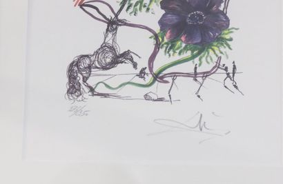 DALI Salvador (1904-1989) "Compositions florales", XXe, paire d'impressions, signées...