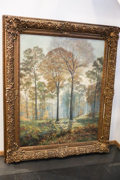 STEVENS René (1858-1937) "Forêt de Soignes", début XXe, huile sur toile, signée en...