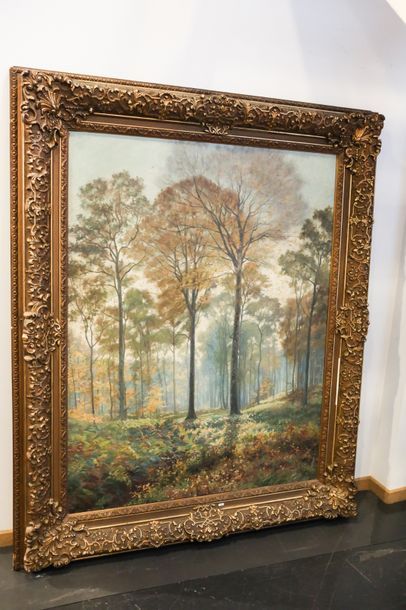 STEVENS René (1858-1937) "Forêt de Soignes", début XXe, huile sur toile, signée en...
