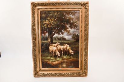 KAISER "Moutons dans un pâturage", XXe, huile sur toile, signée en bas à droite,...
