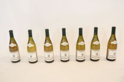 BOURGOGNE (SAINT-AUBIN) Blanc, Ch. Drapier & Fils 2004, sept bouteilles.