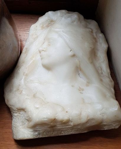 null ANDRÉA G. 



Bas-relief en marbre blanc sculpté.

« Buste de jeune fille »...