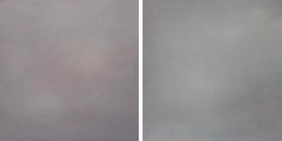 Denise LIOTE Sans titre, 2008 et 2009 Deux huiles sur toile, signées au dos 50 x...