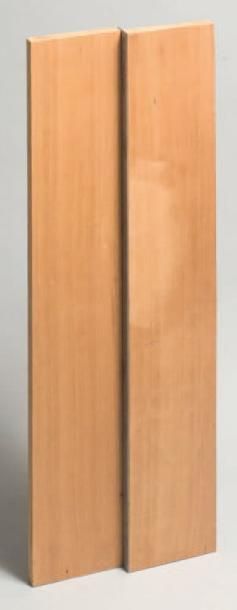 Géraldine PAOLI Sans titre, 2000 Scultpure,bois et acier 67 x 24 cm