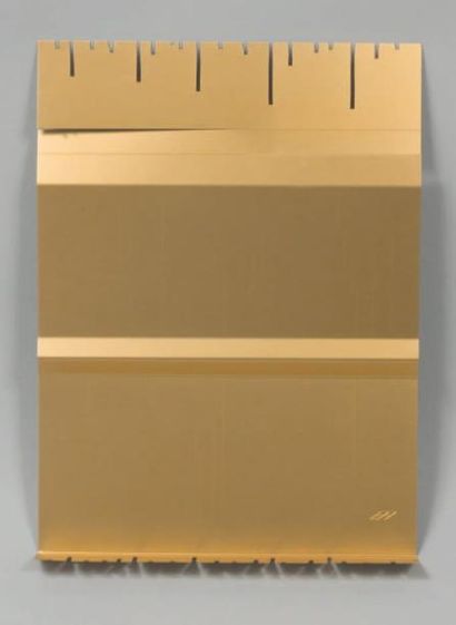 HASEGAWA Cannelure d'or Tableau d'objet 26,5 x 36 cm