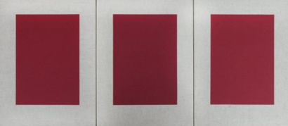 HENANDEZ & FERNANDEZ Trio rouge, code C3, 1999 Acrylique sur toile Tryptique 40 x...