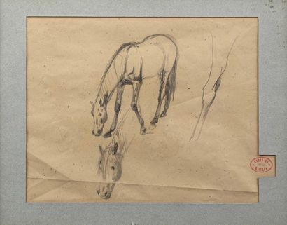null Ecole du 19e siècle
Esquisses de chevaux (profil et détails des membres).
Crayon...