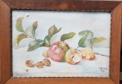 C. MEYER 
Still life with apples and walnuts...