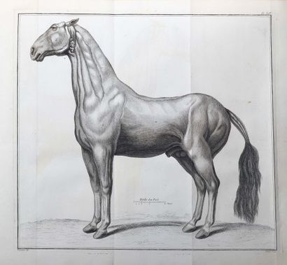 null Philippe- Etienne LAFOSSE (1738 - 1820 )
Horse riding lessons, or a complete...