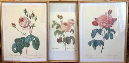 null Un lot de 7 estampes et/ ou reproductions encadrées : 

- 2 dans le goût de...