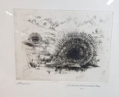 null Jean BRENNER (1937-2009)

Hérisson 

Gravure au burin signée au crayon en bas...