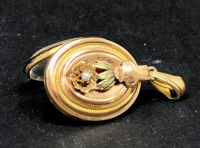 null Souvenir" oval pendant in 18K (750°/°°) yellow gold - (Eagle head hallmark)...