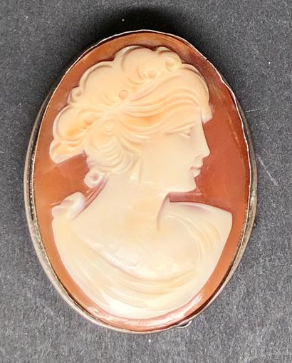 null Two oval brooches, one mounted as a pendant, decorated in the cameo style with...