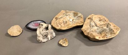 null MINERAUX 

Un lot comprenant : divers minéraux et fossiles dont améthystes