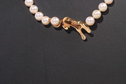 null Cartier

Necklace of cultured pearls centered by a panther -the emblem of the

of...