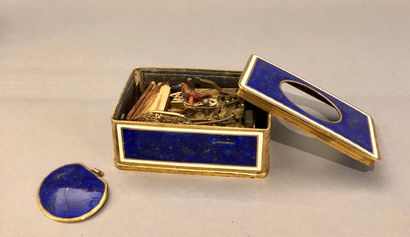 Box for a songbird in gilded brass and blue...