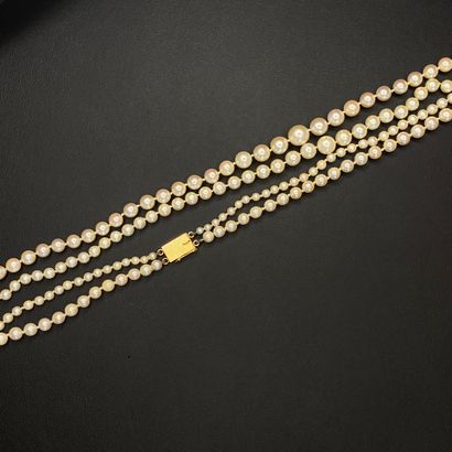 null Collier composé de deux rangs de perles en chute (diamètres entre 4.09 et 7.91...