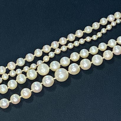 null Collier composé de deux rangs de perles en chute (diamètres entre 4.09 et 7.91...