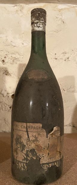 1 bouteille COGNAC Fine Champagne - Rémy...